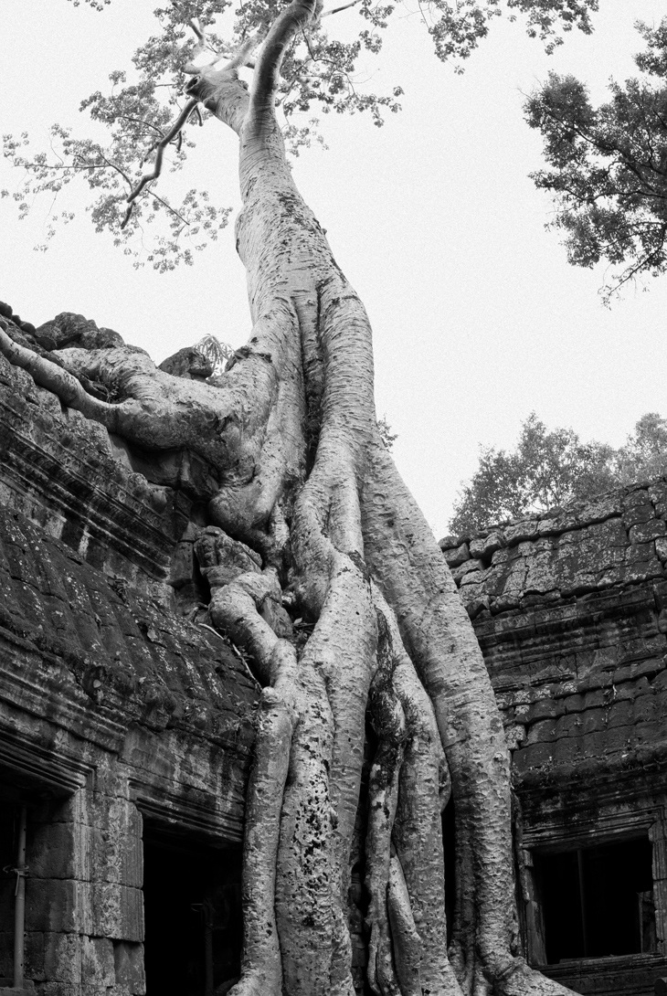 Un mondo di altri tempi 2