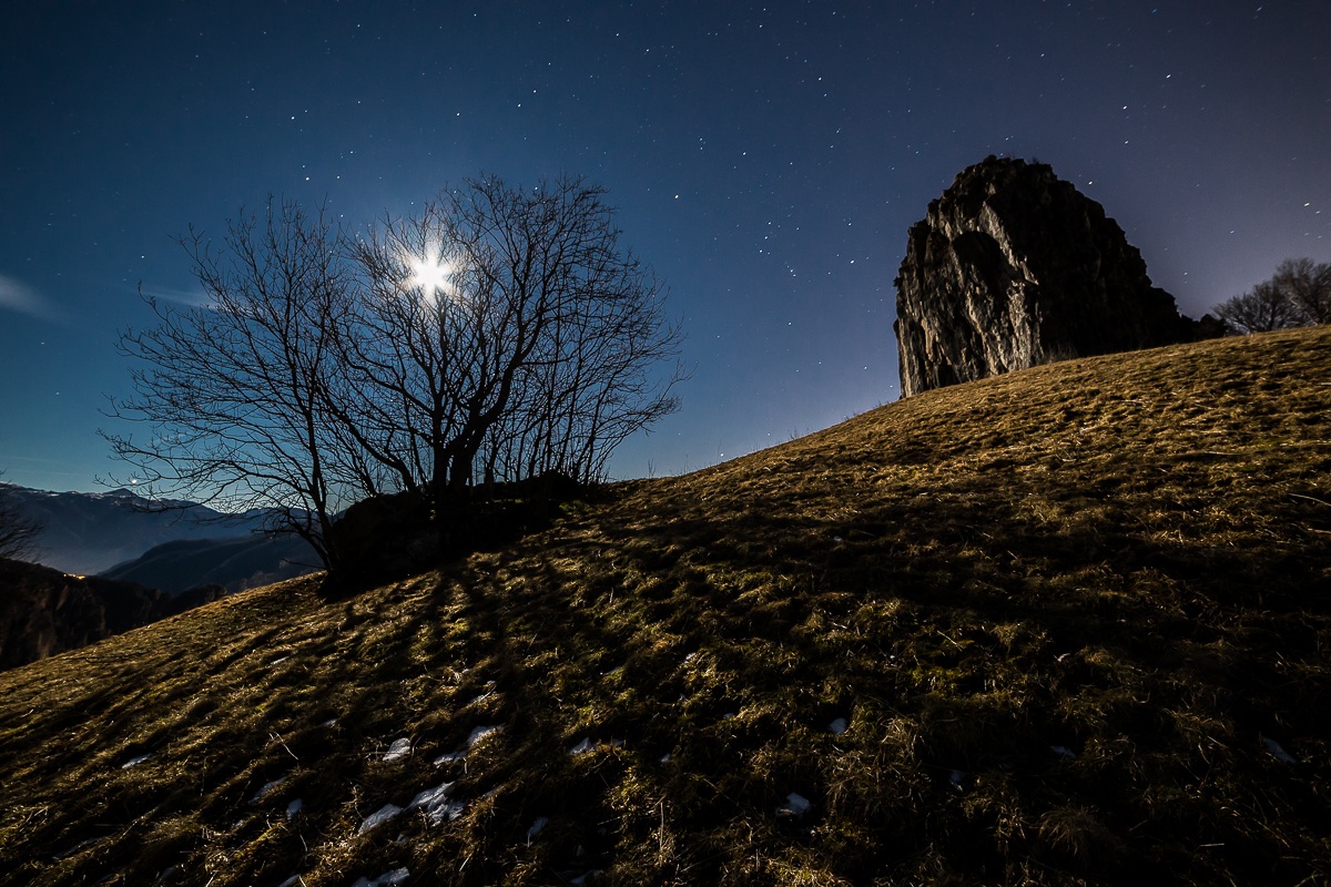 Kite in the moonlight