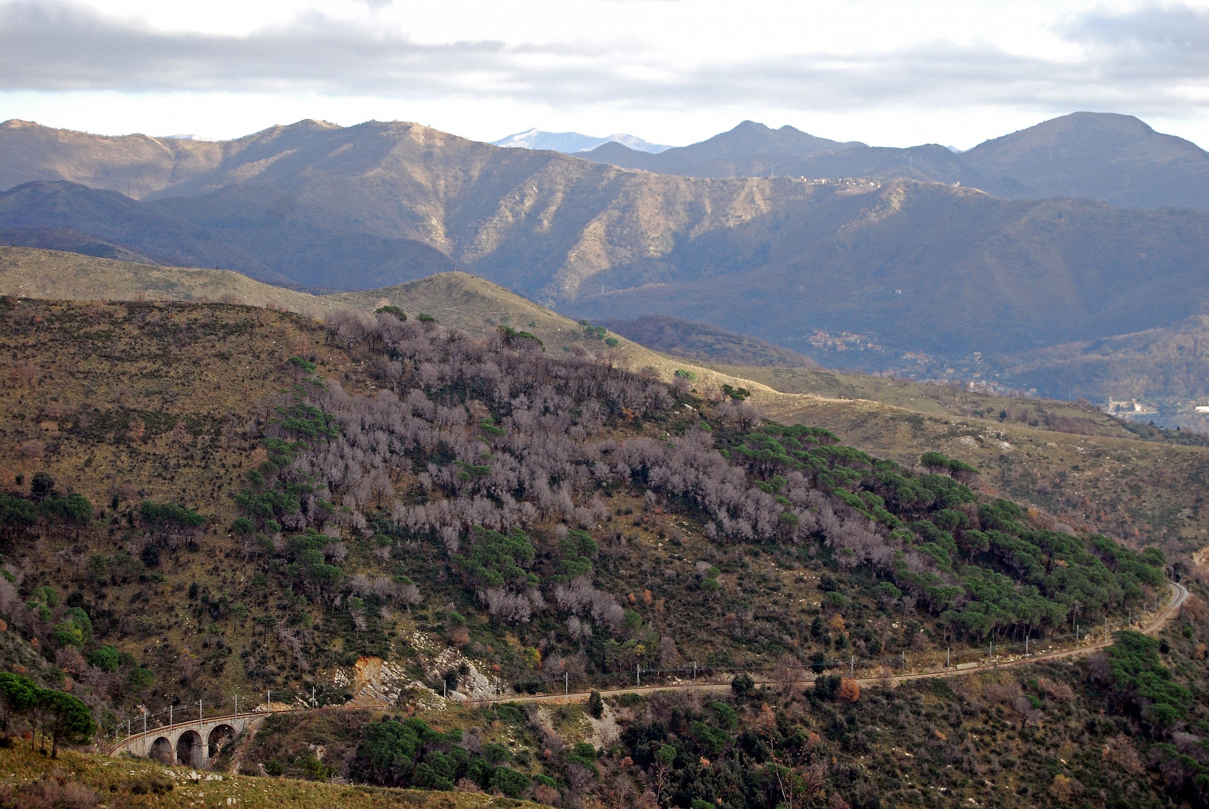 Ferrovia Righi-Casella (ge)
