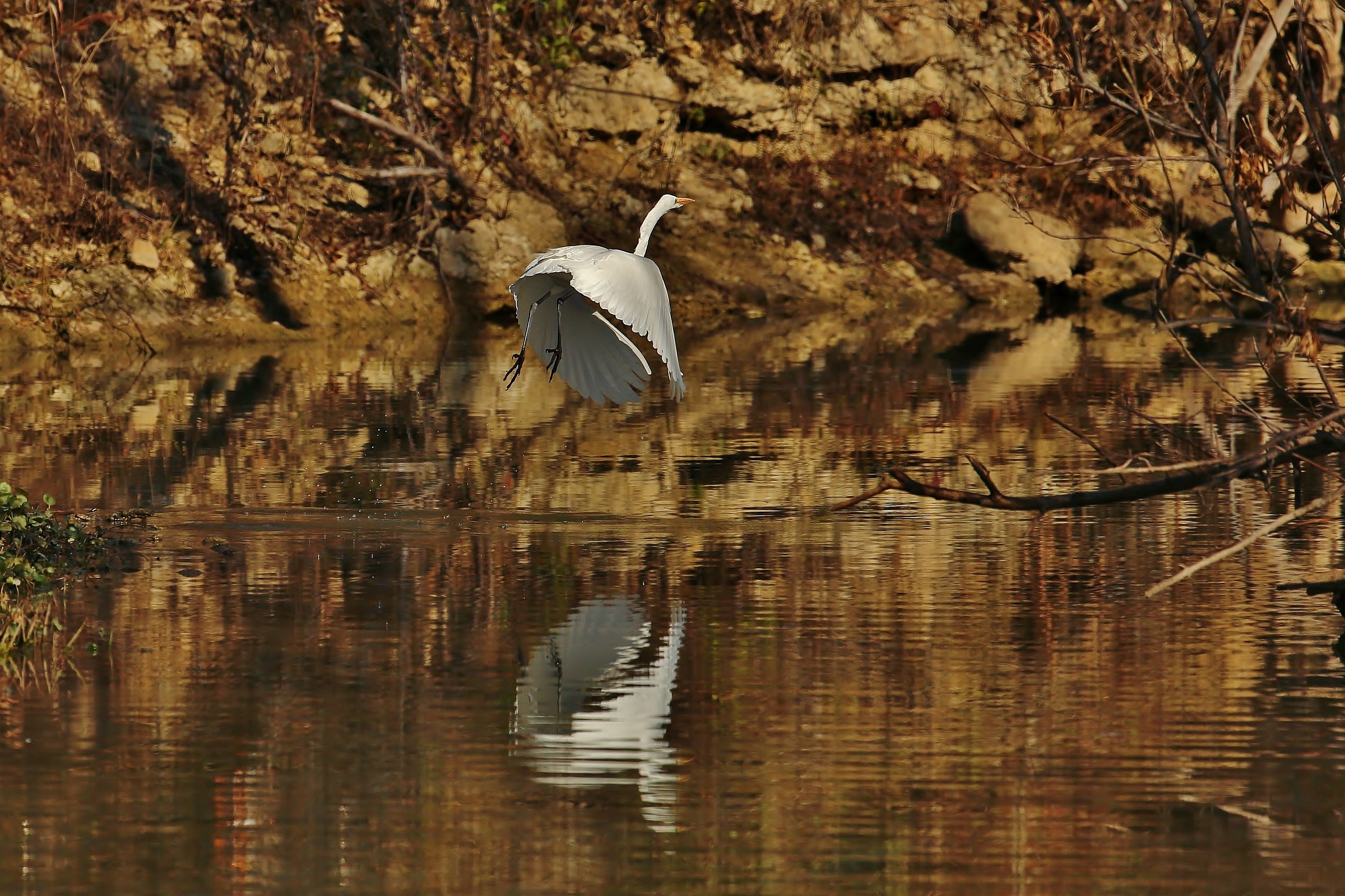 Ballando in White Skirt