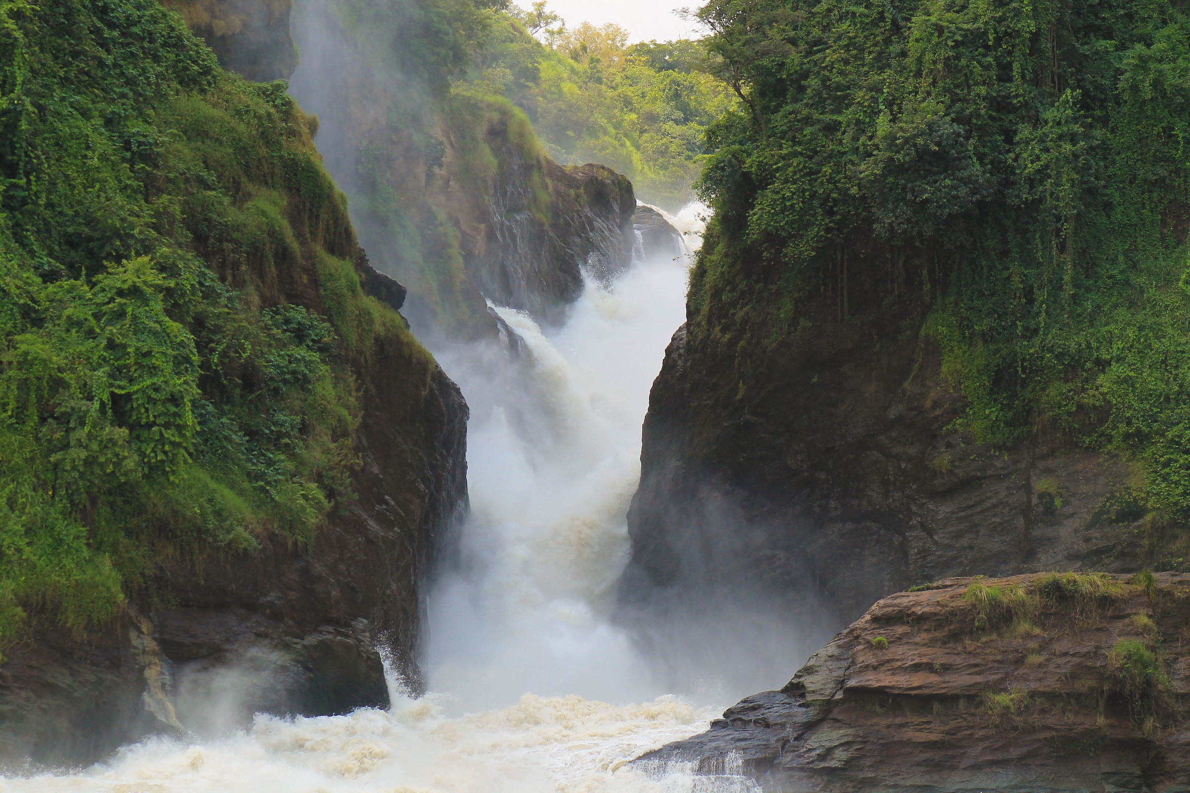 Cascate Murchison (uganda)