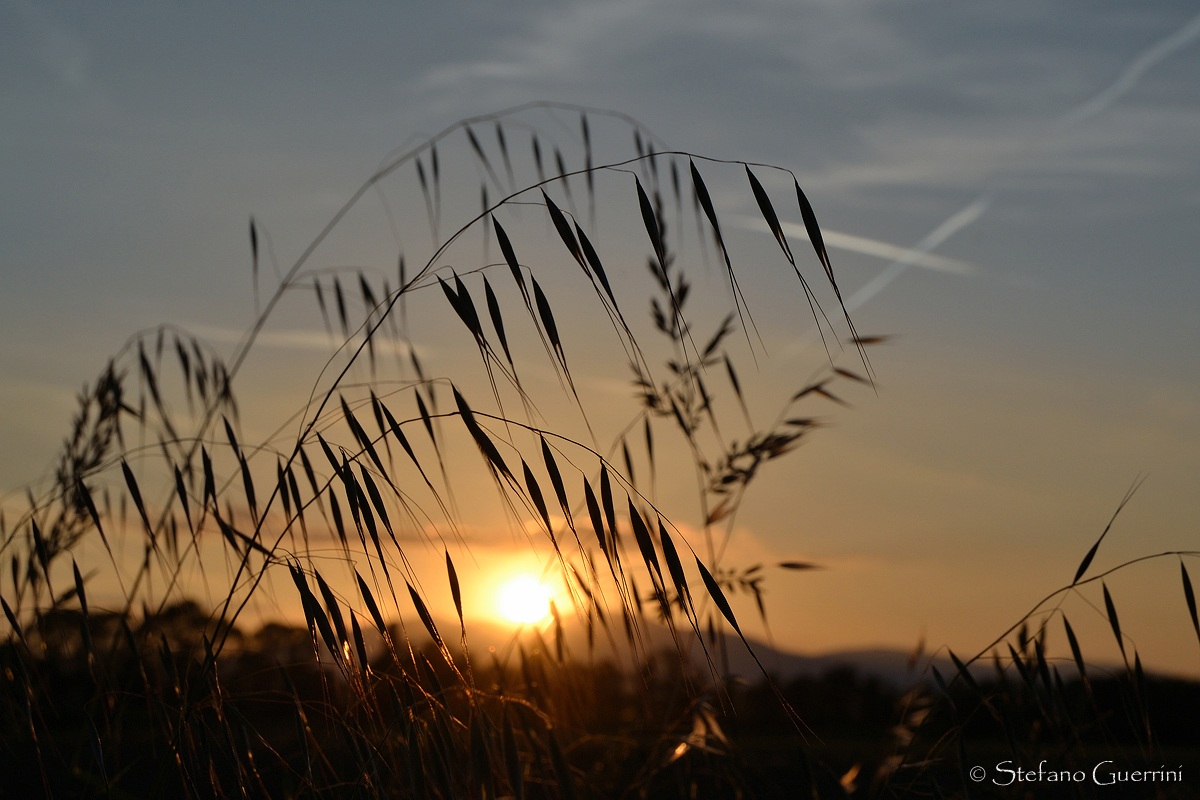 Tramonto Estivo