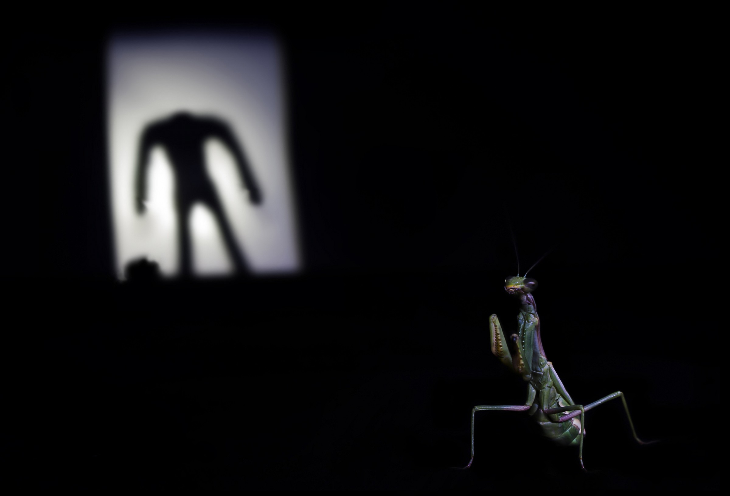 Il museo degli orrori