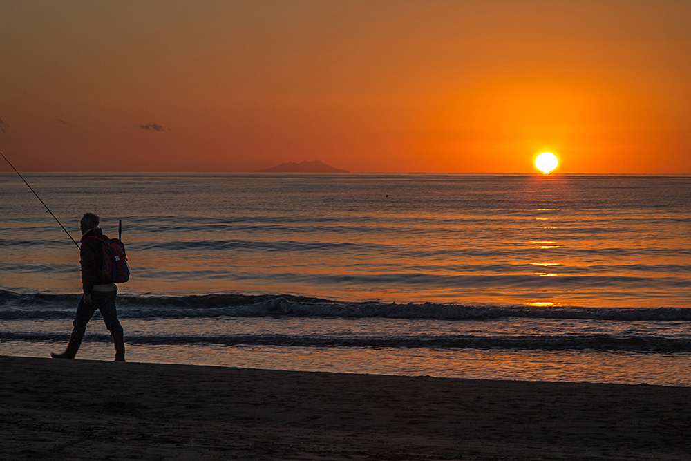 Stasera niente pesce