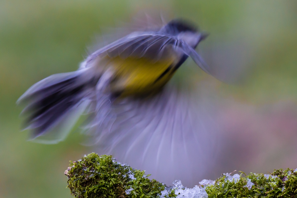 Sharpness on the fly!