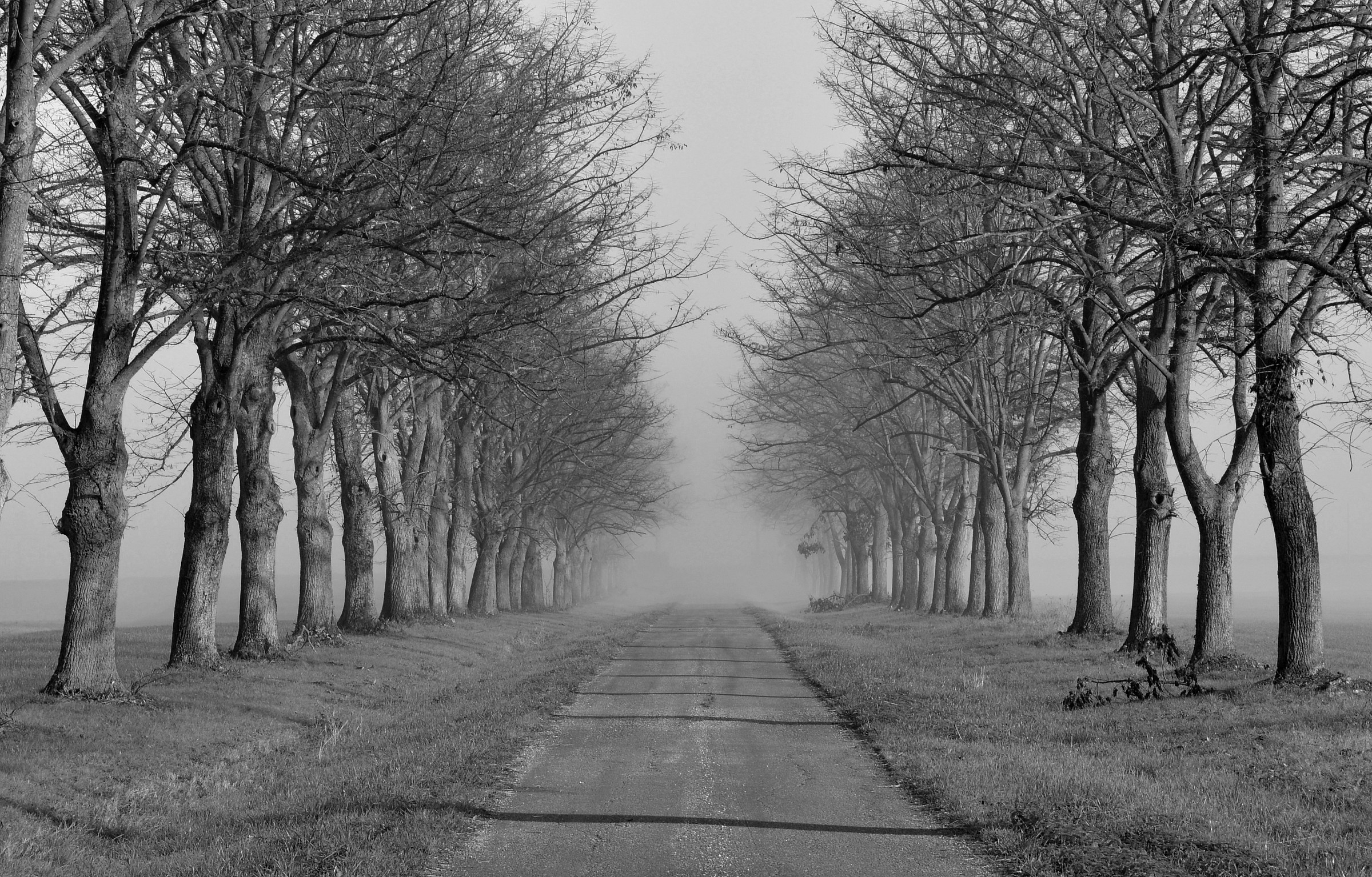 Castelnuovo Fogliani