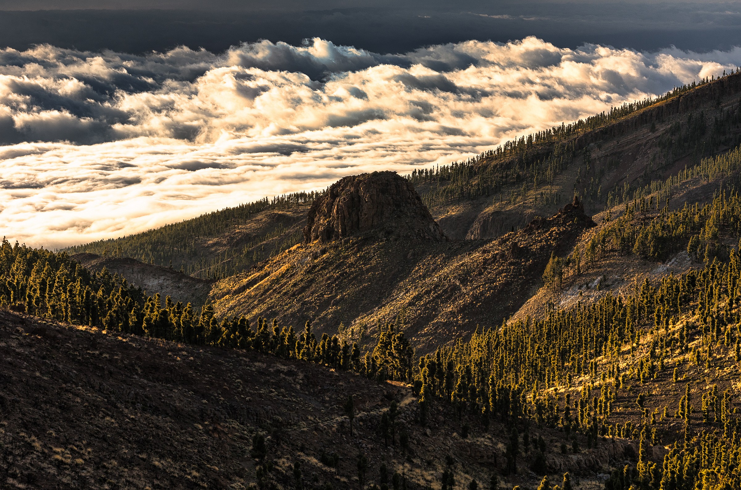 Parco Nazionale del Teide