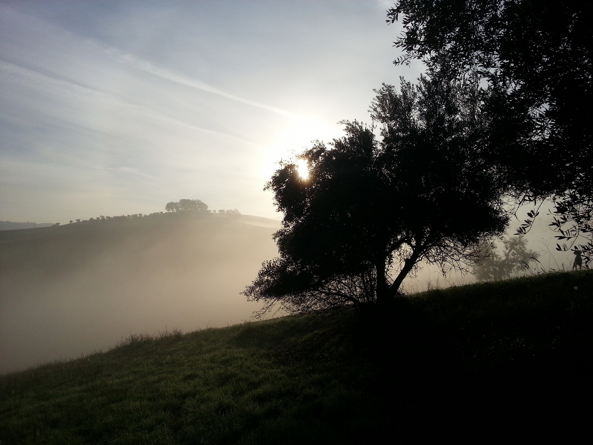 alba e nebbia