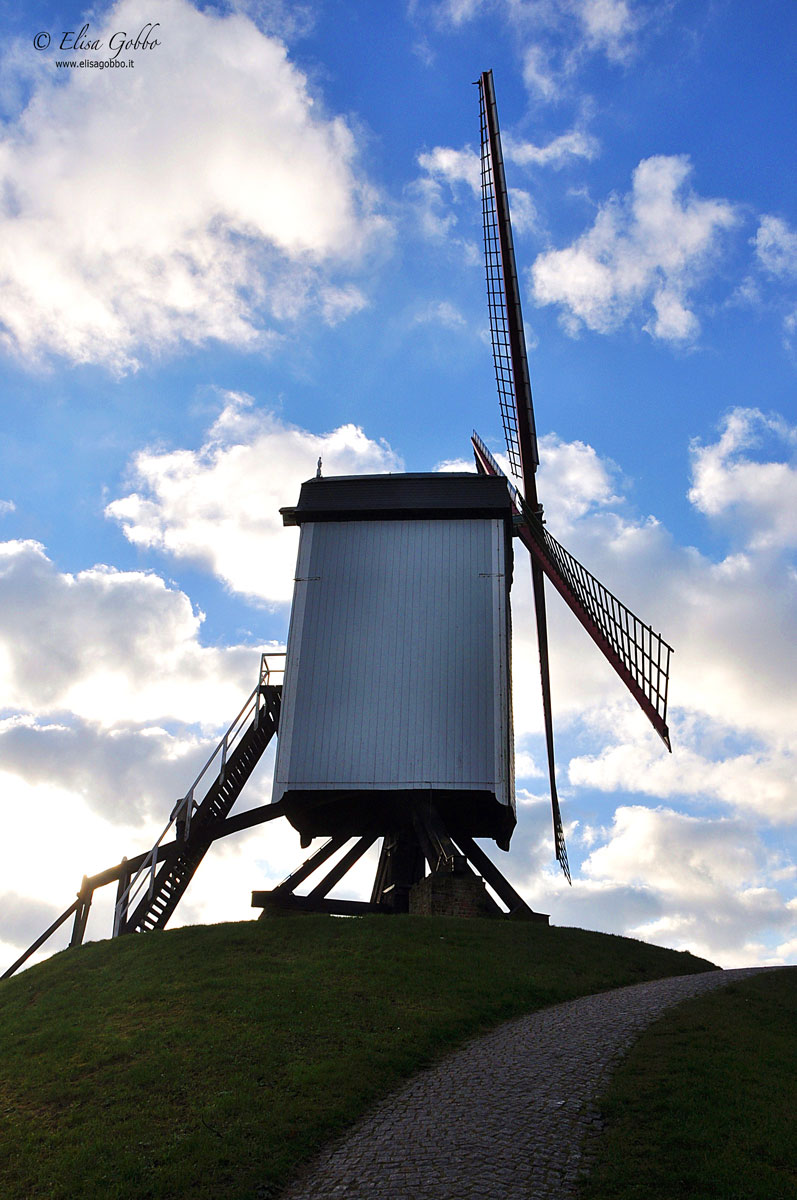 Old windmill 2 - Brugges