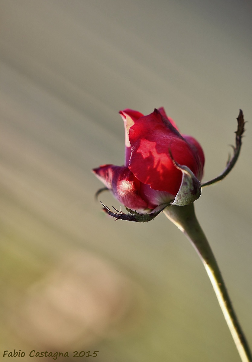 Uno sguardo verso la luce