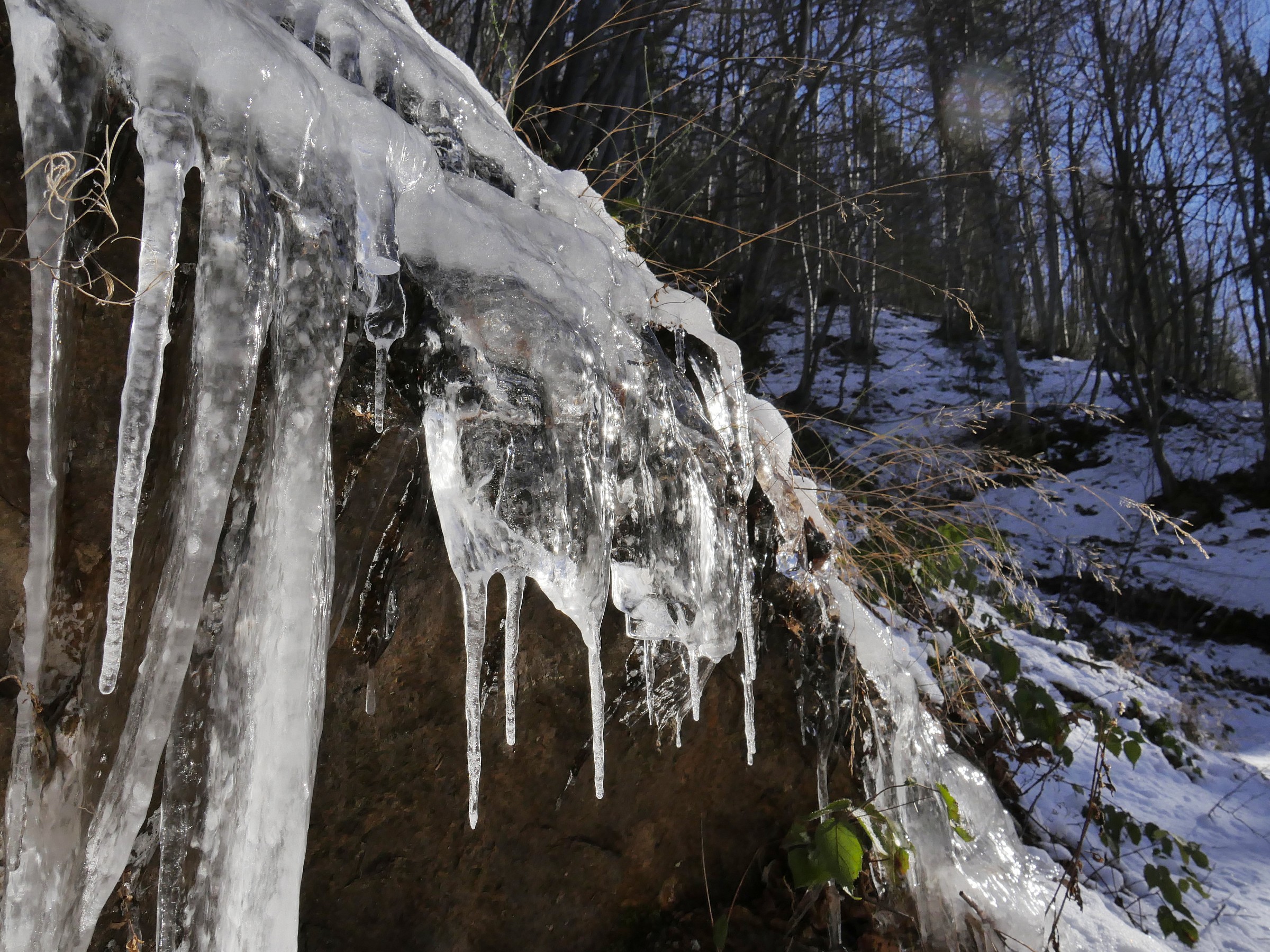 Valtorta stream Torre