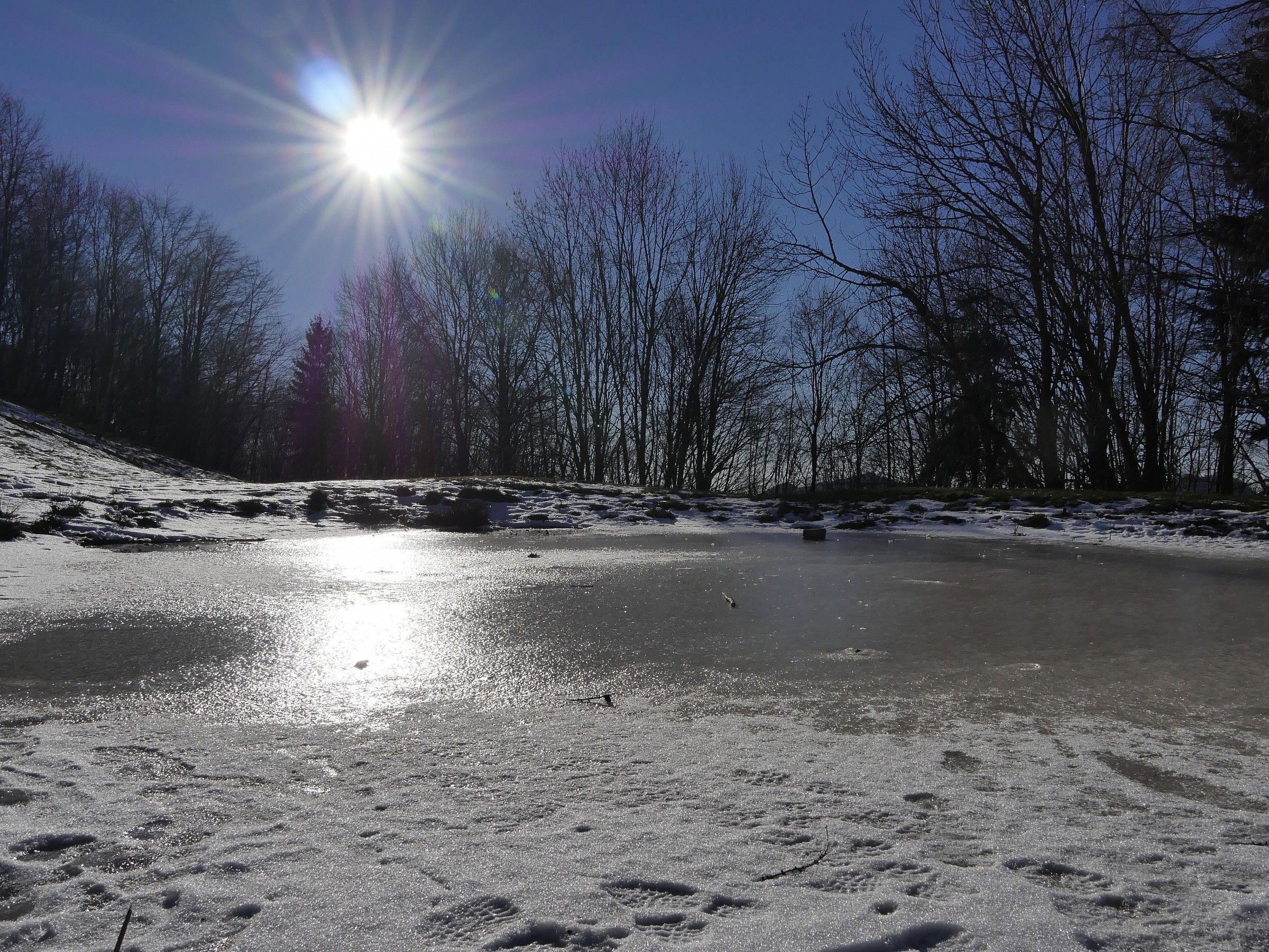 Ascent of Mount Poieto