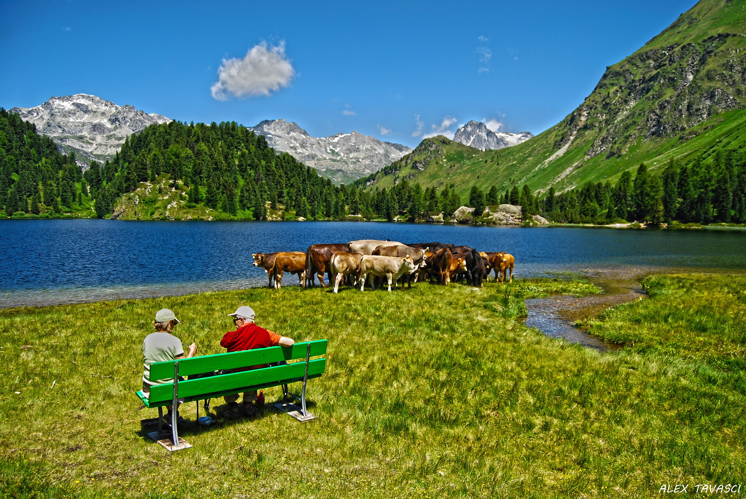 Riposo al lago di Cavloc (Svizzera)