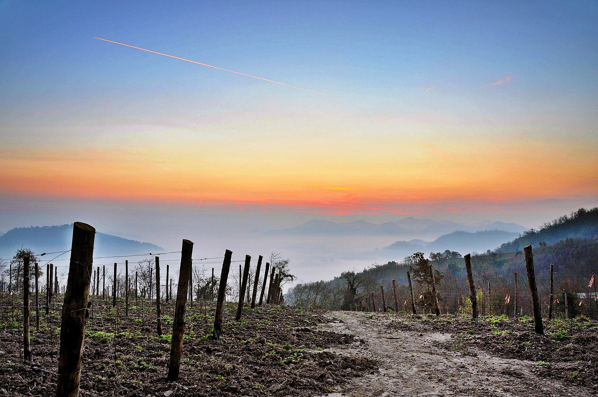 Alba alle Terre Bianche