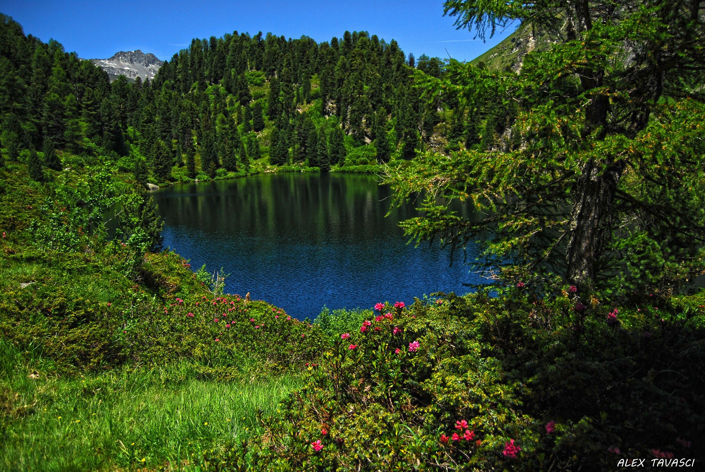 Ritratto di un lago.