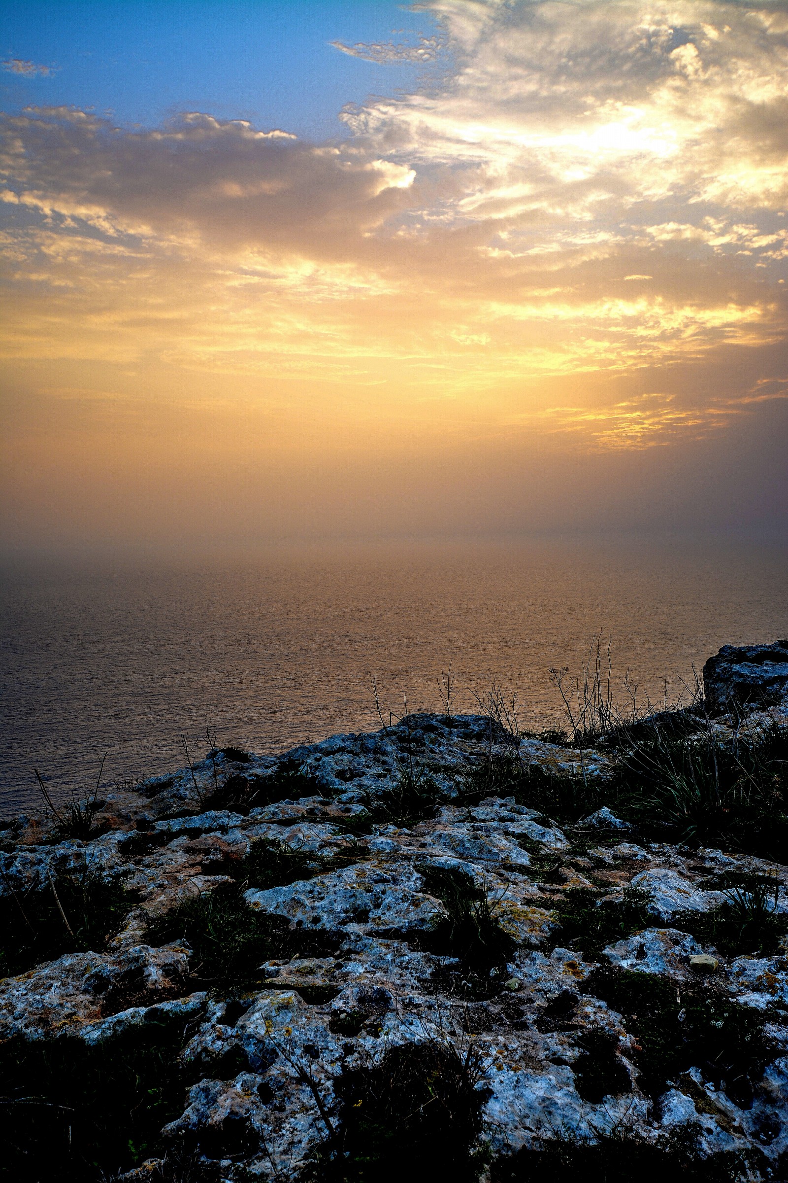 the shade of the last sun ................