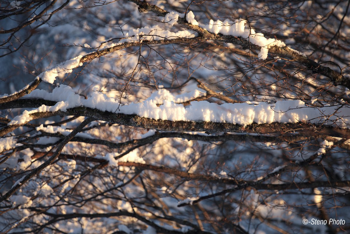 First flakes at sunset