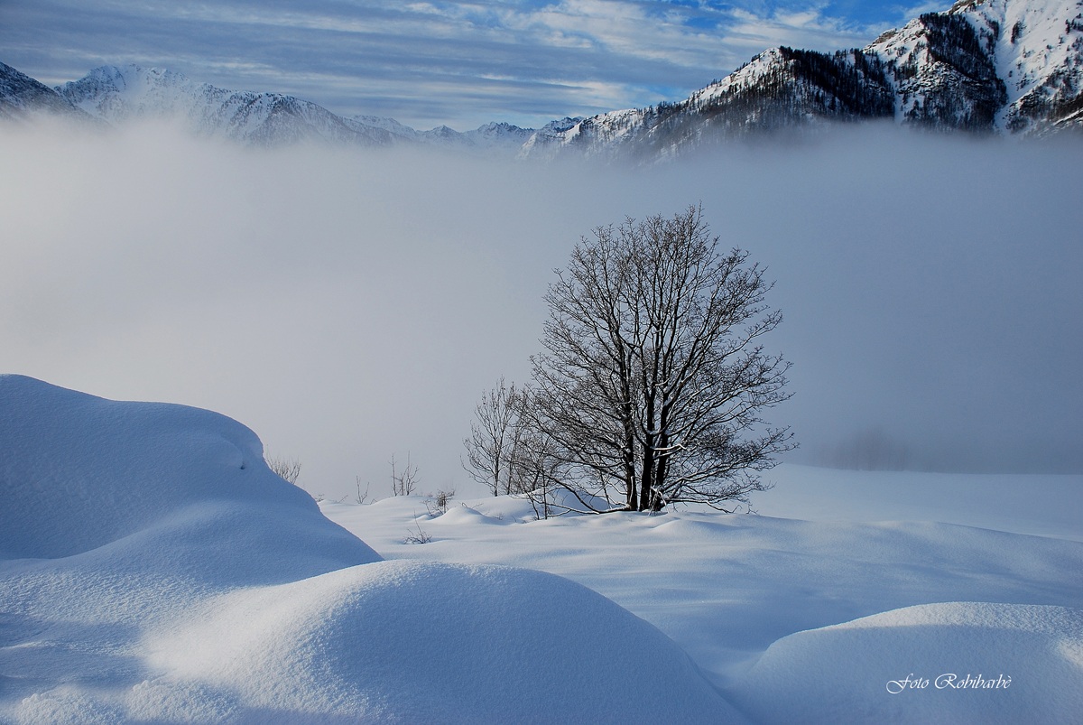 When it snowed .....