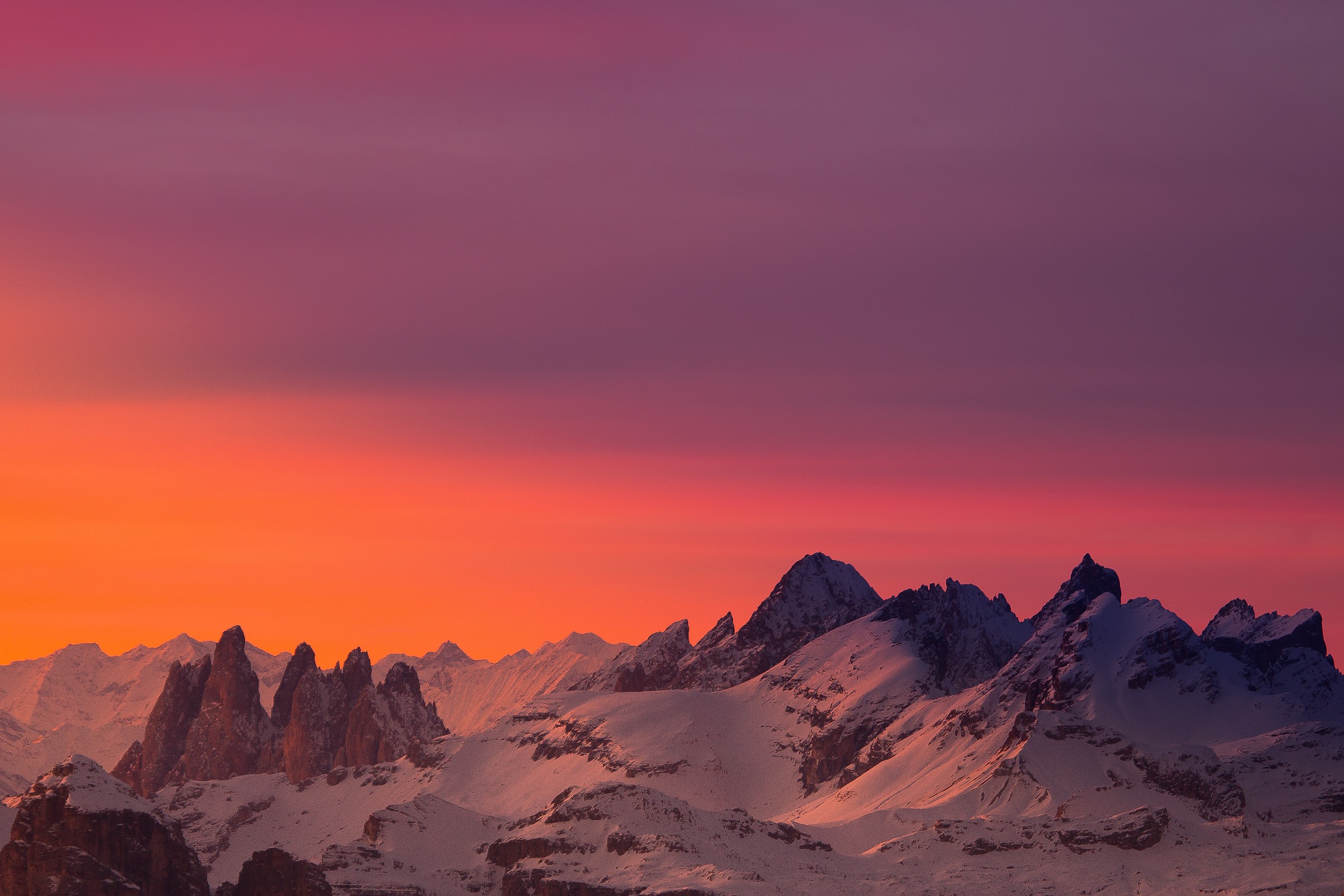 Paradise - Goodbye Tony