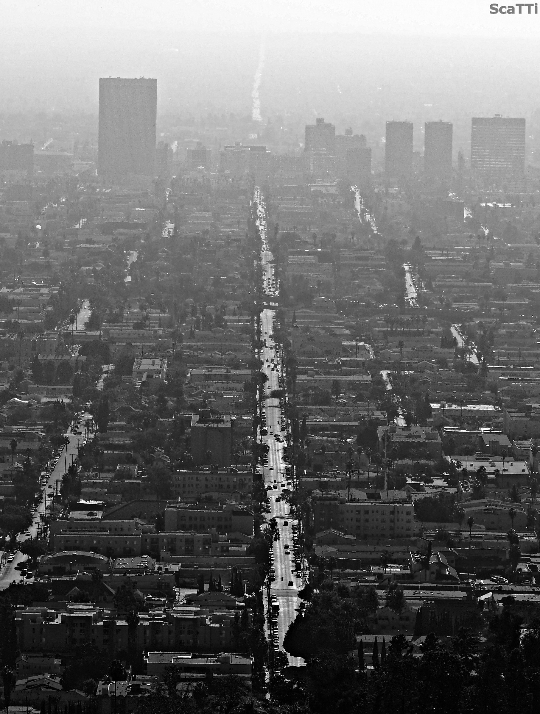 A road to the horizon