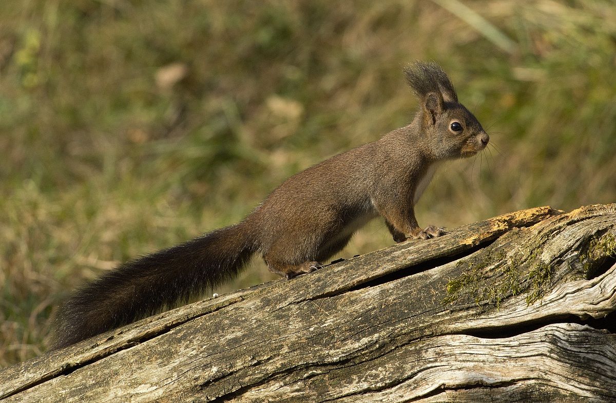 sorpresaaa !!!! I'm here too