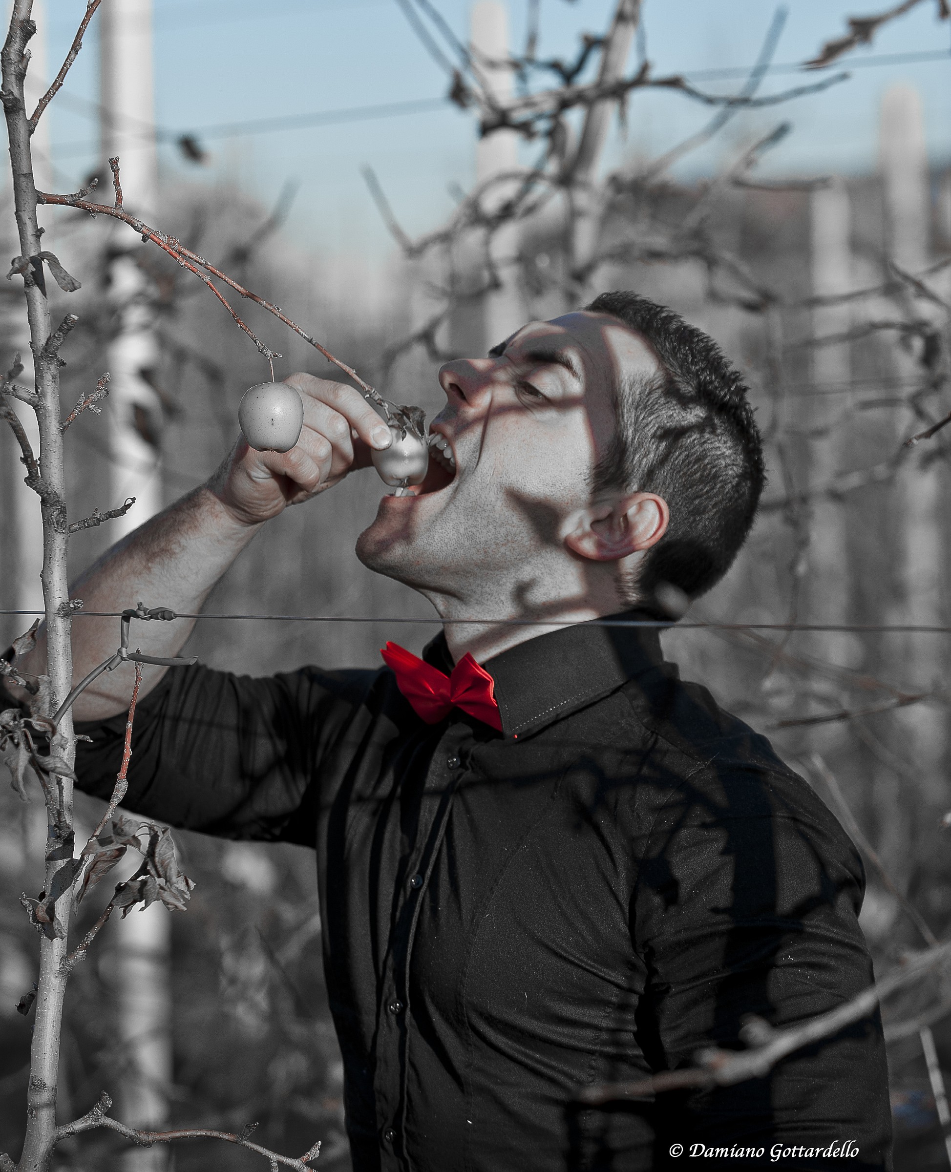 Looking for taste and color