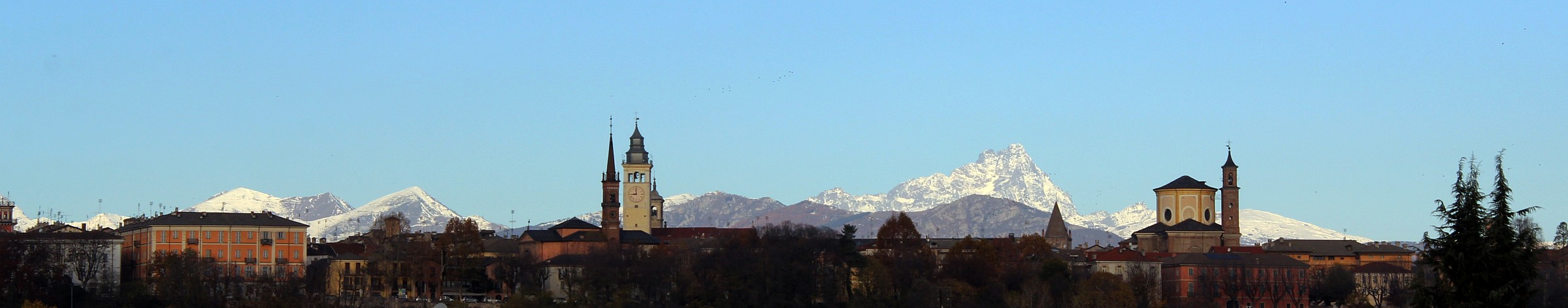 always wedge profile