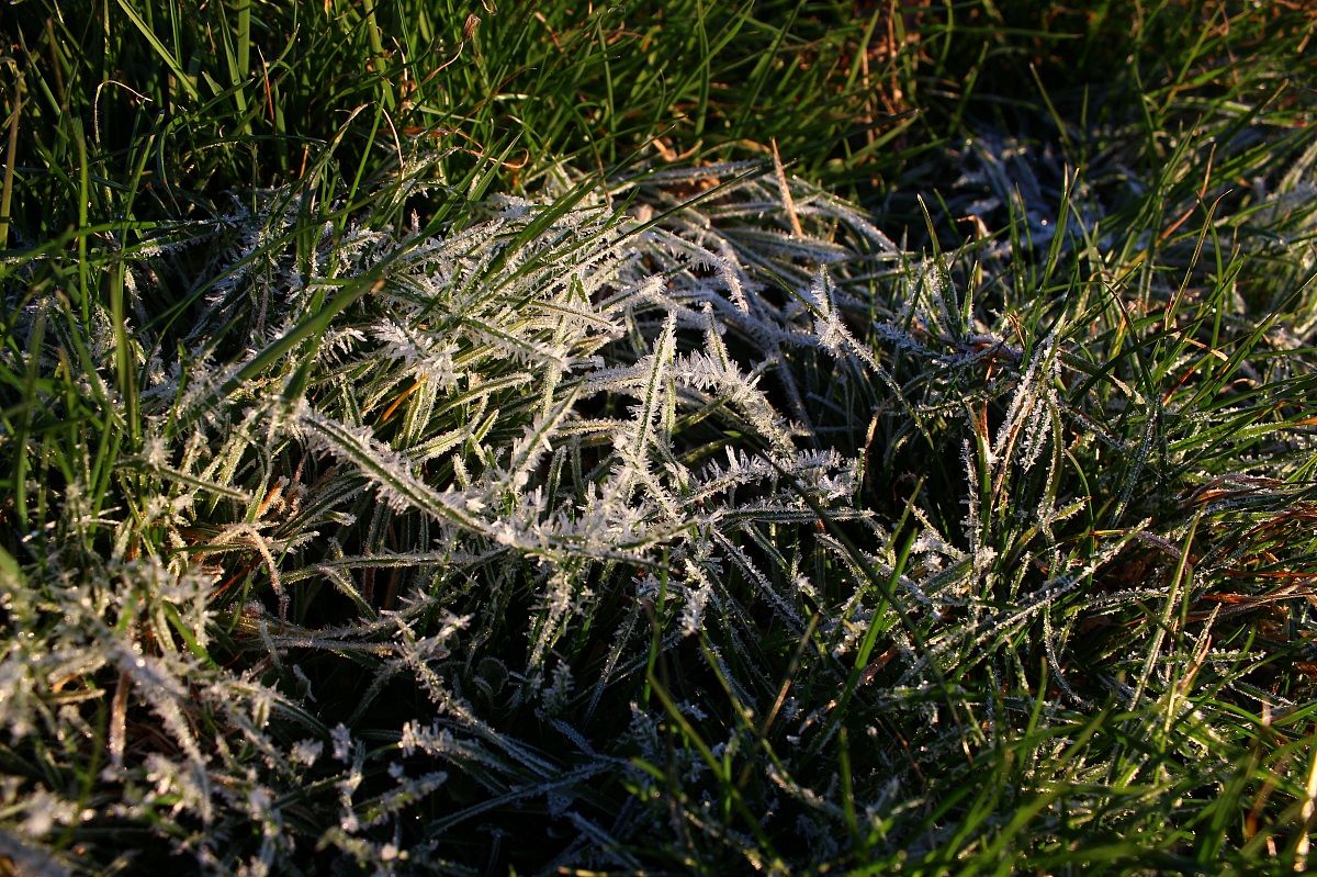 L'inverno che si posa sull'erba di fine stagione