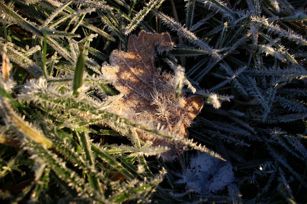 l'Autunno lascia il passo al freddo inverno