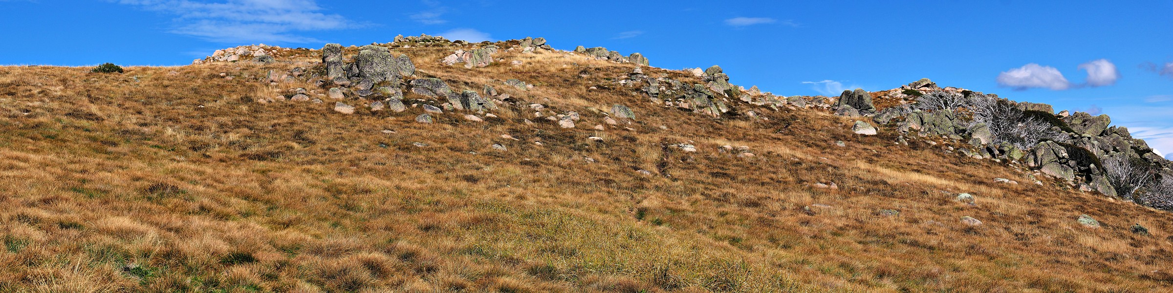 Mt Sterling, Victorian High Country, Australia