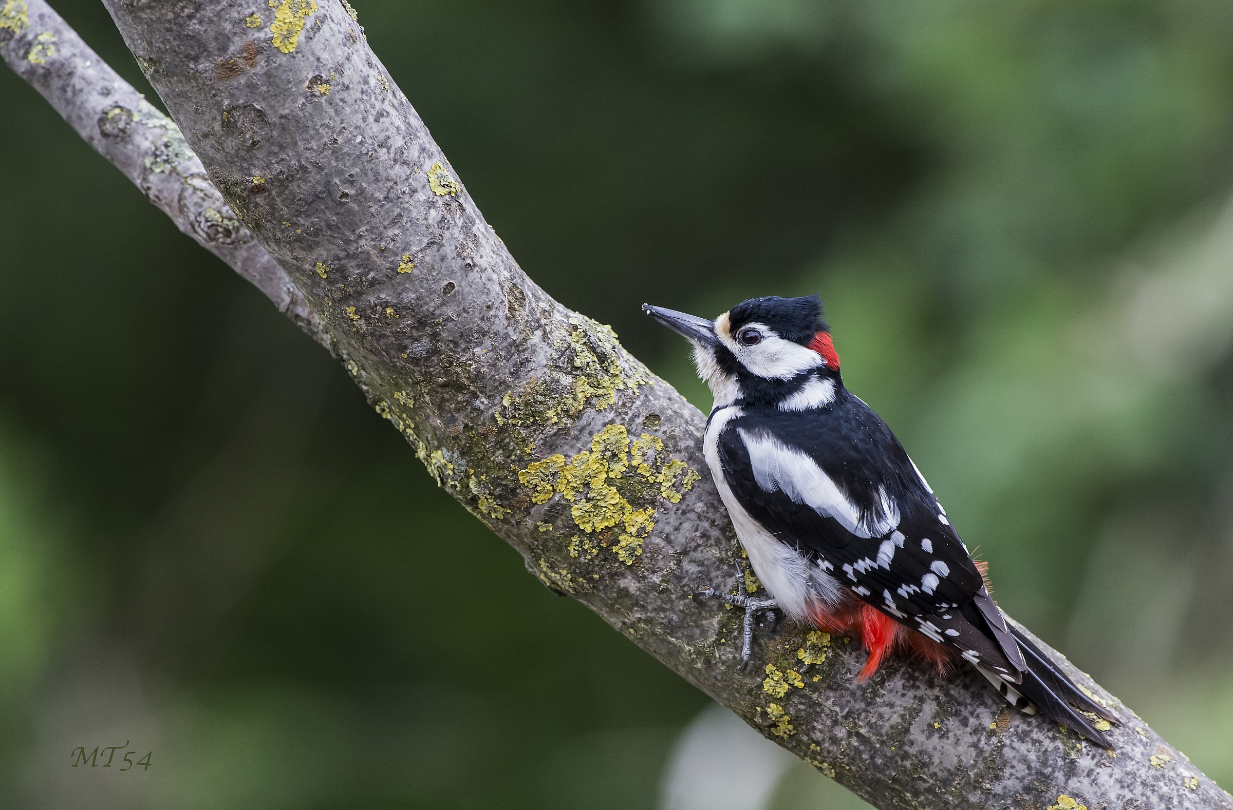 Inizia a piovere, che si fa?