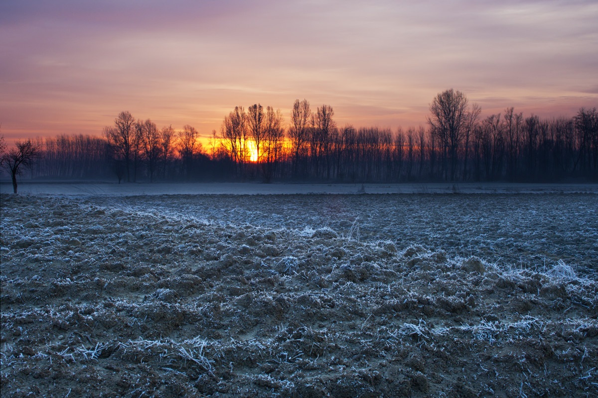Nelle brume ispessite della luce prima