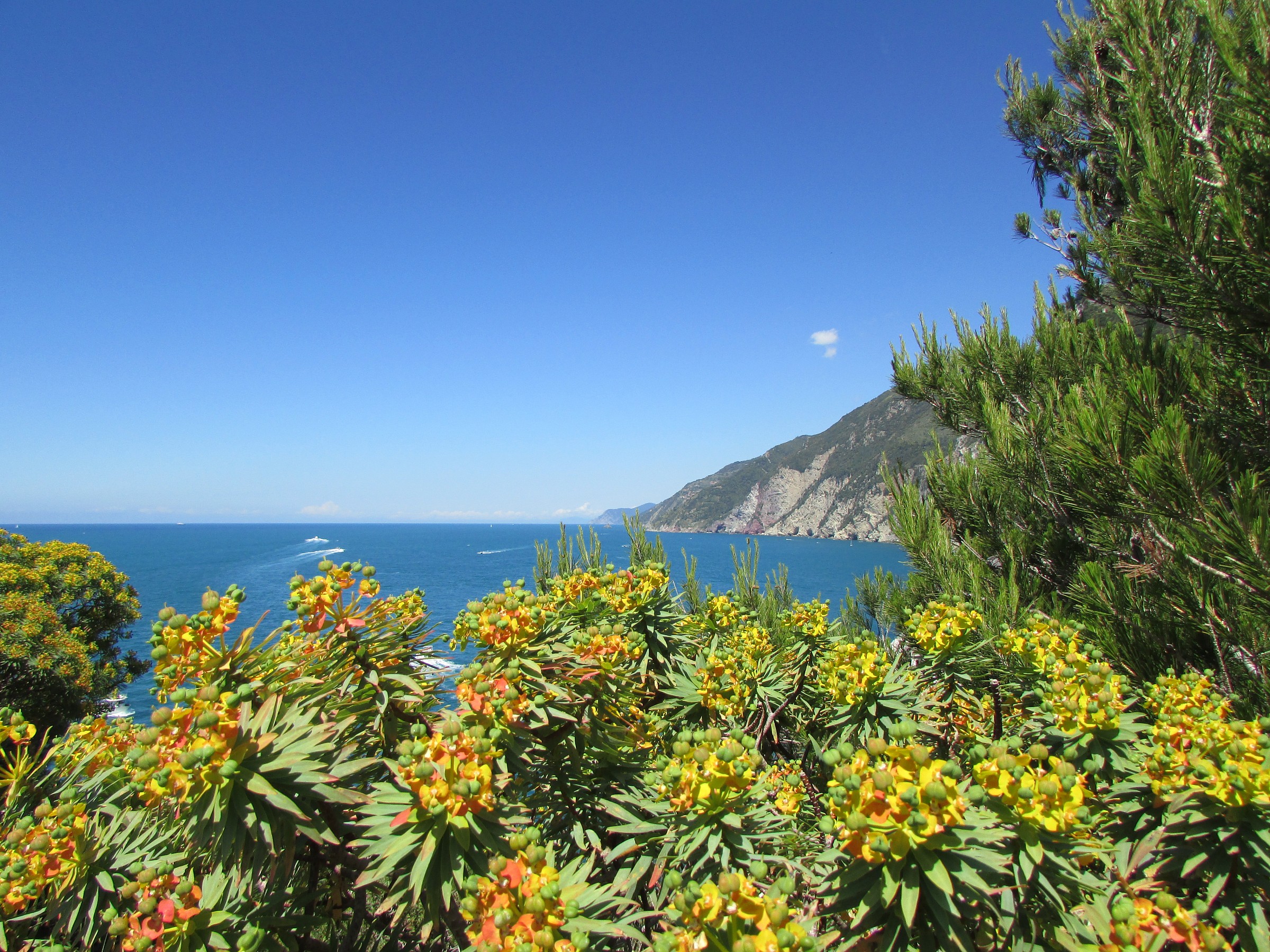 The Sea From Palmaria Island