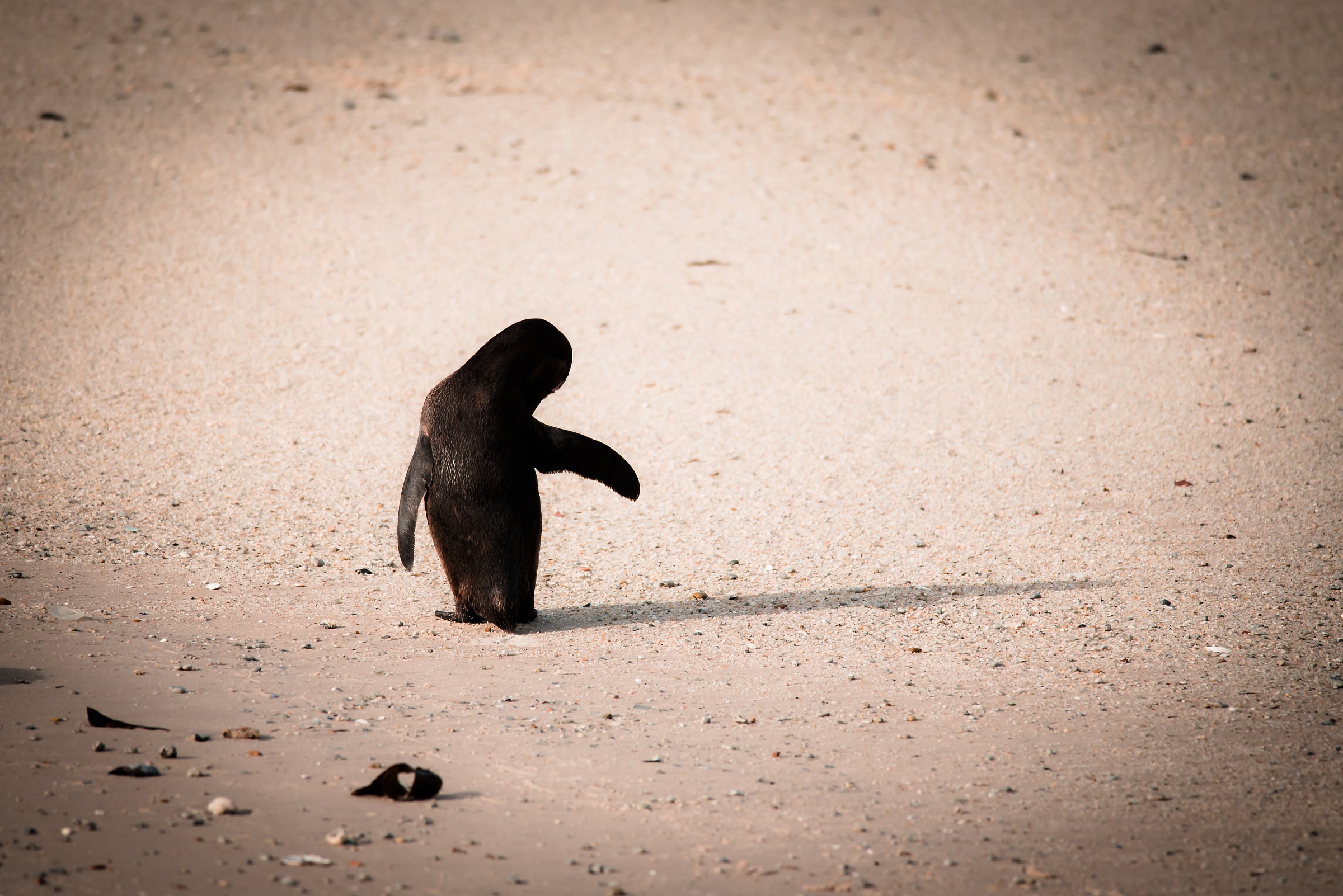 Me and my imaginary friend