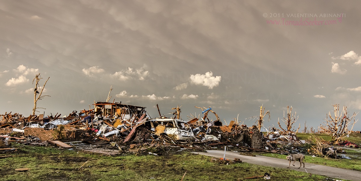 Joplin Aftermath