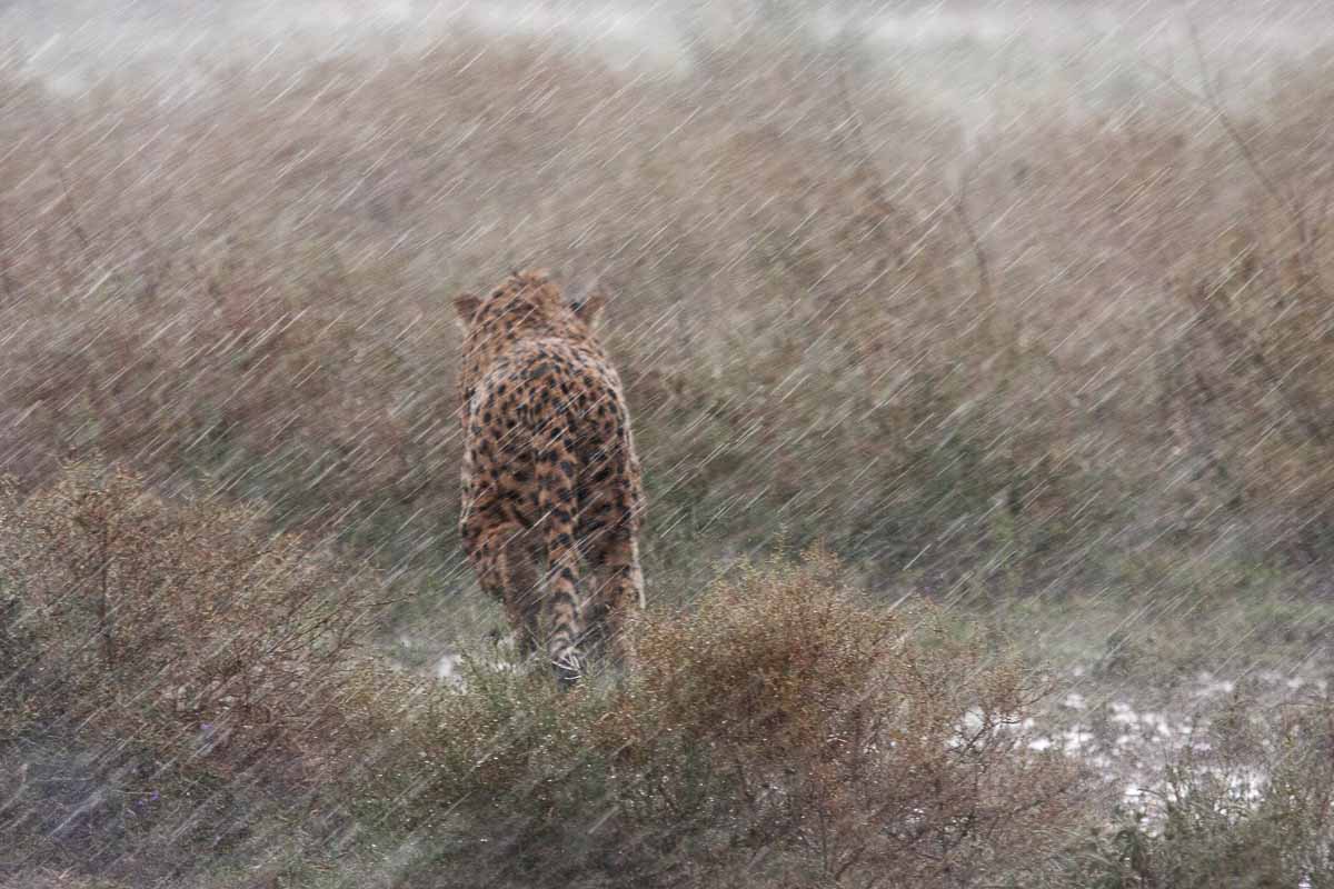 Meglio cercarsi un riparo....