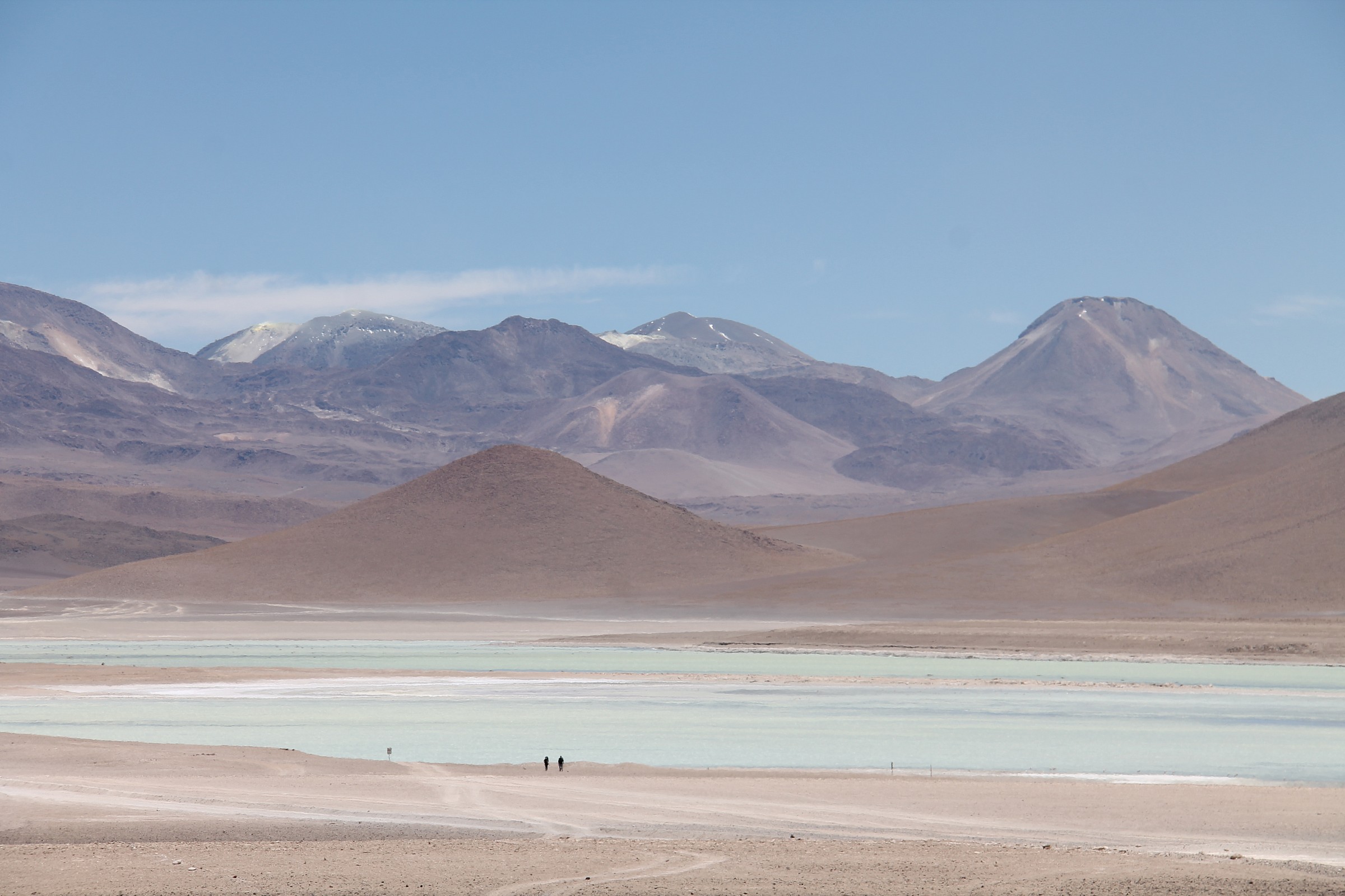 Deserto di Atacama Laguna Blanca