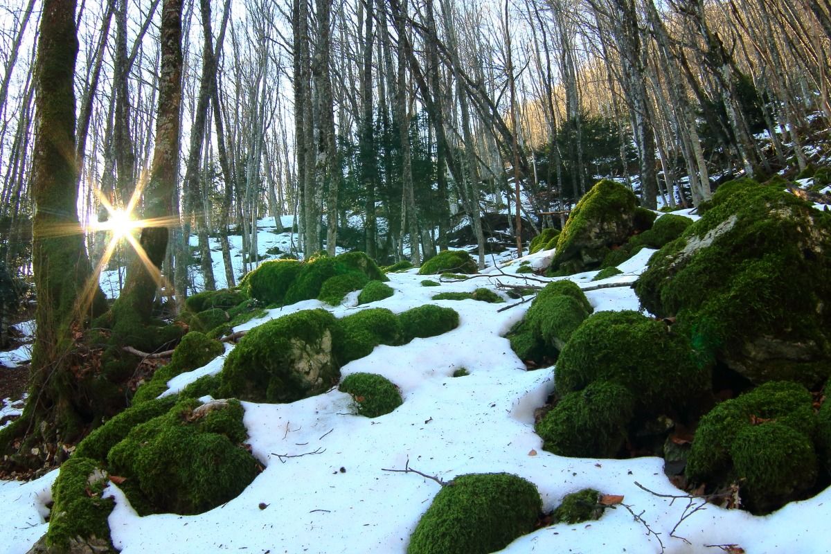 A good day starts in the morning