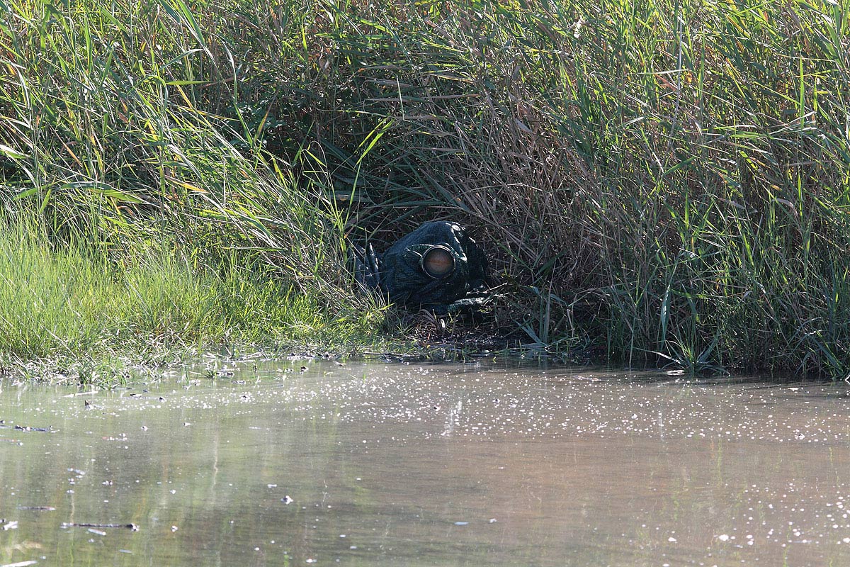 appostamento d'emergenza