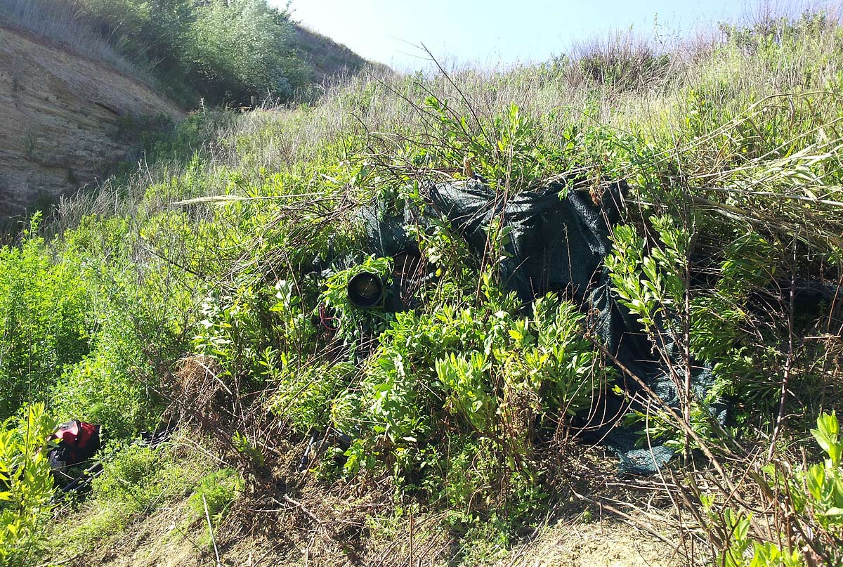 Postazione per gruccioni