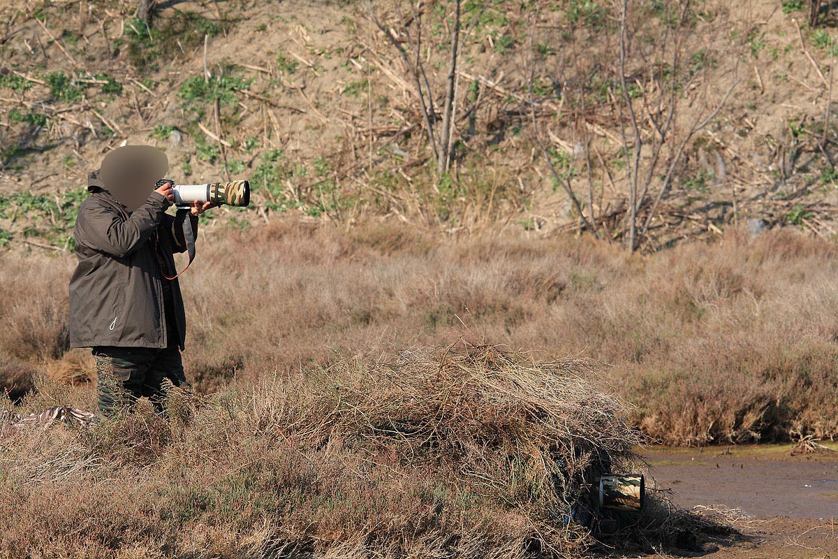 Postazione in palude