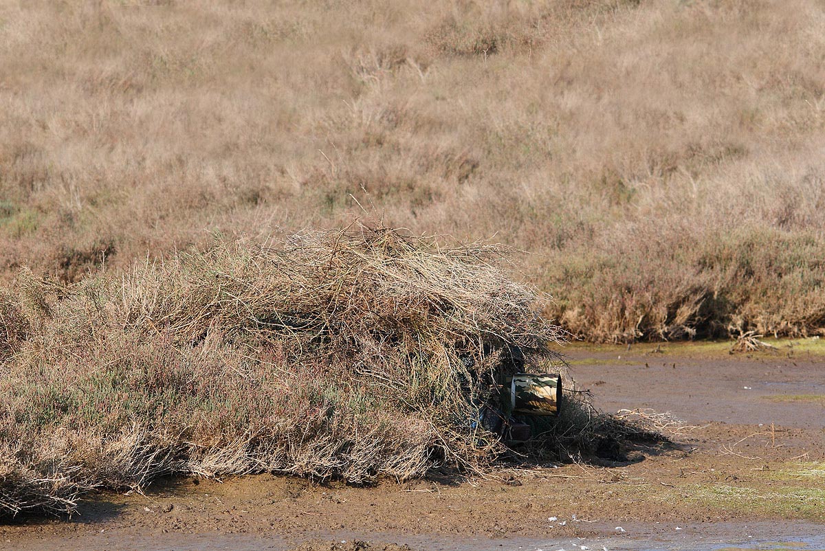 Particolare di appostamento