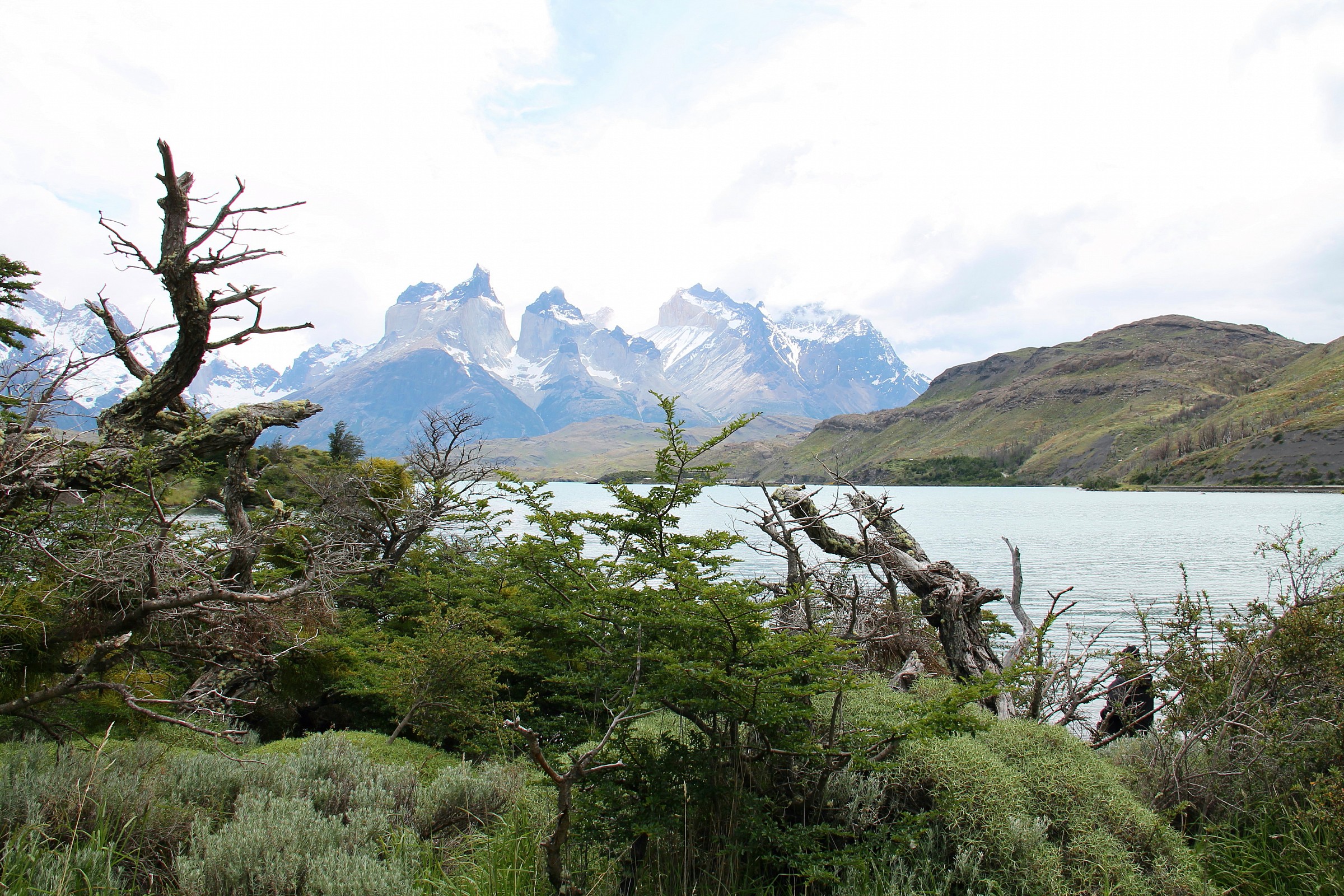 Parco Nazionale Torri del Paine