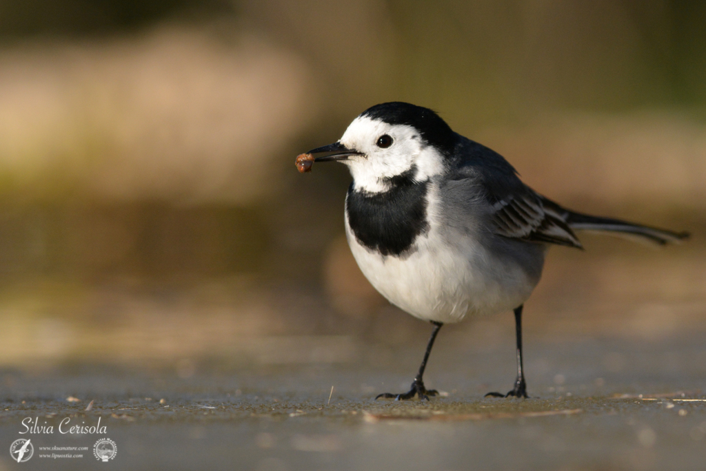 And last mouthful more 'delicious
