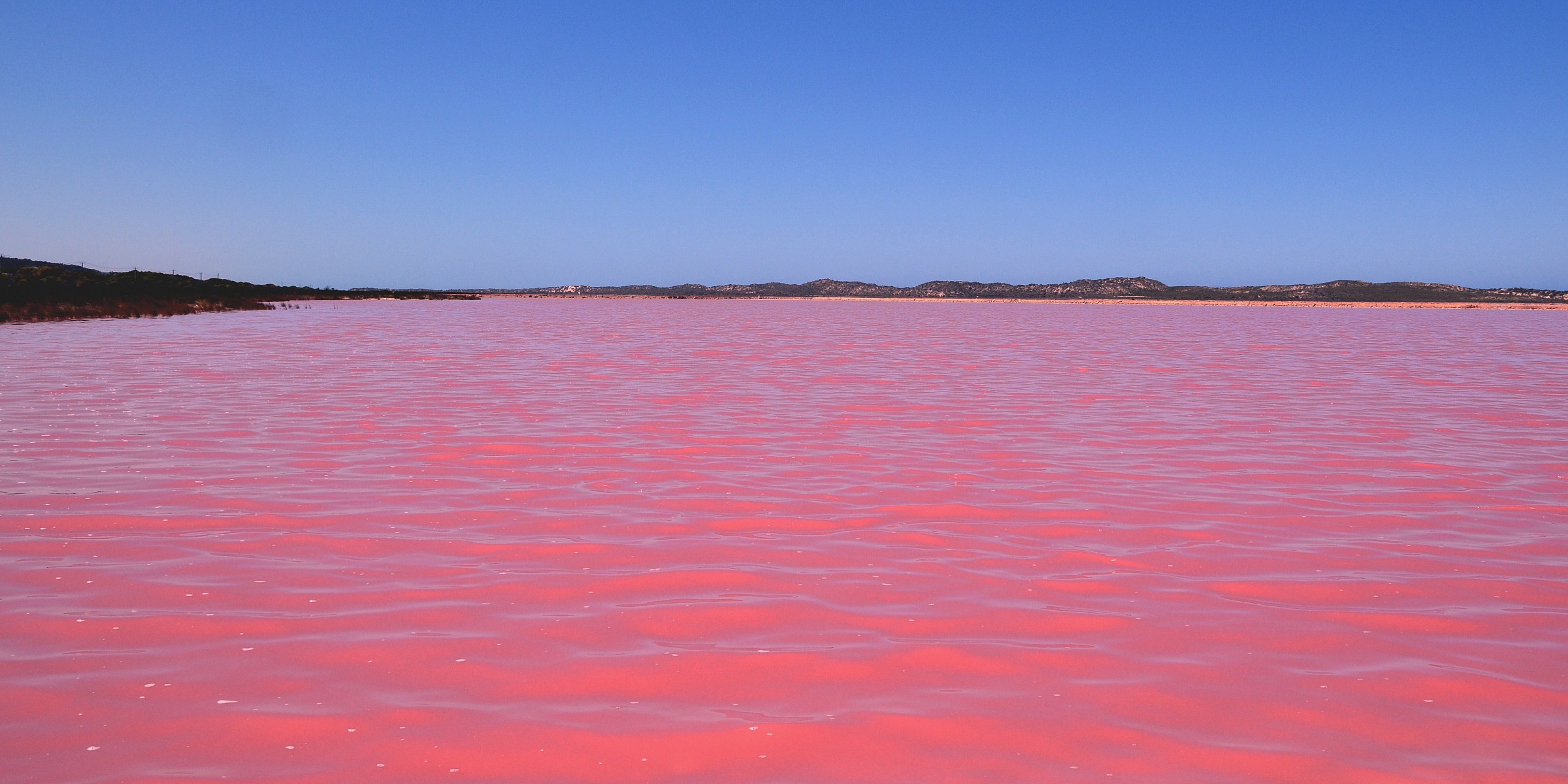 Pink Lake