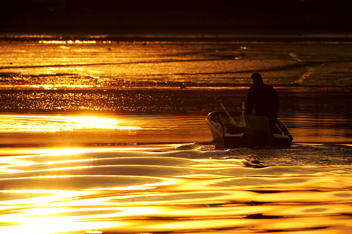 Anche per oggi la pesca è finita...