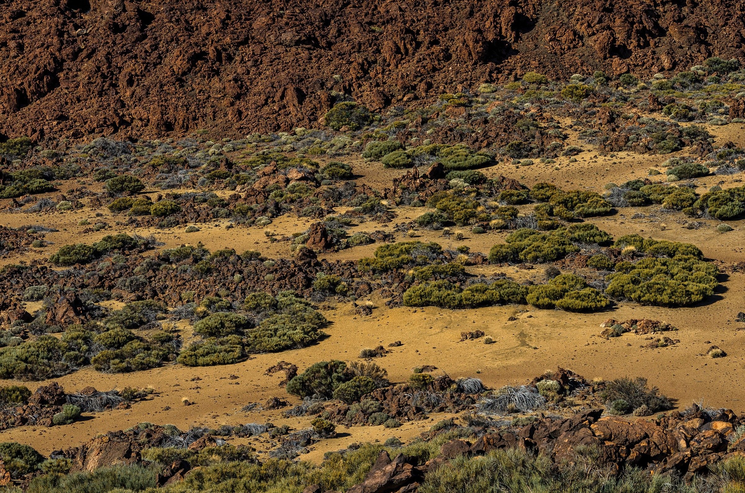 Teide National Park