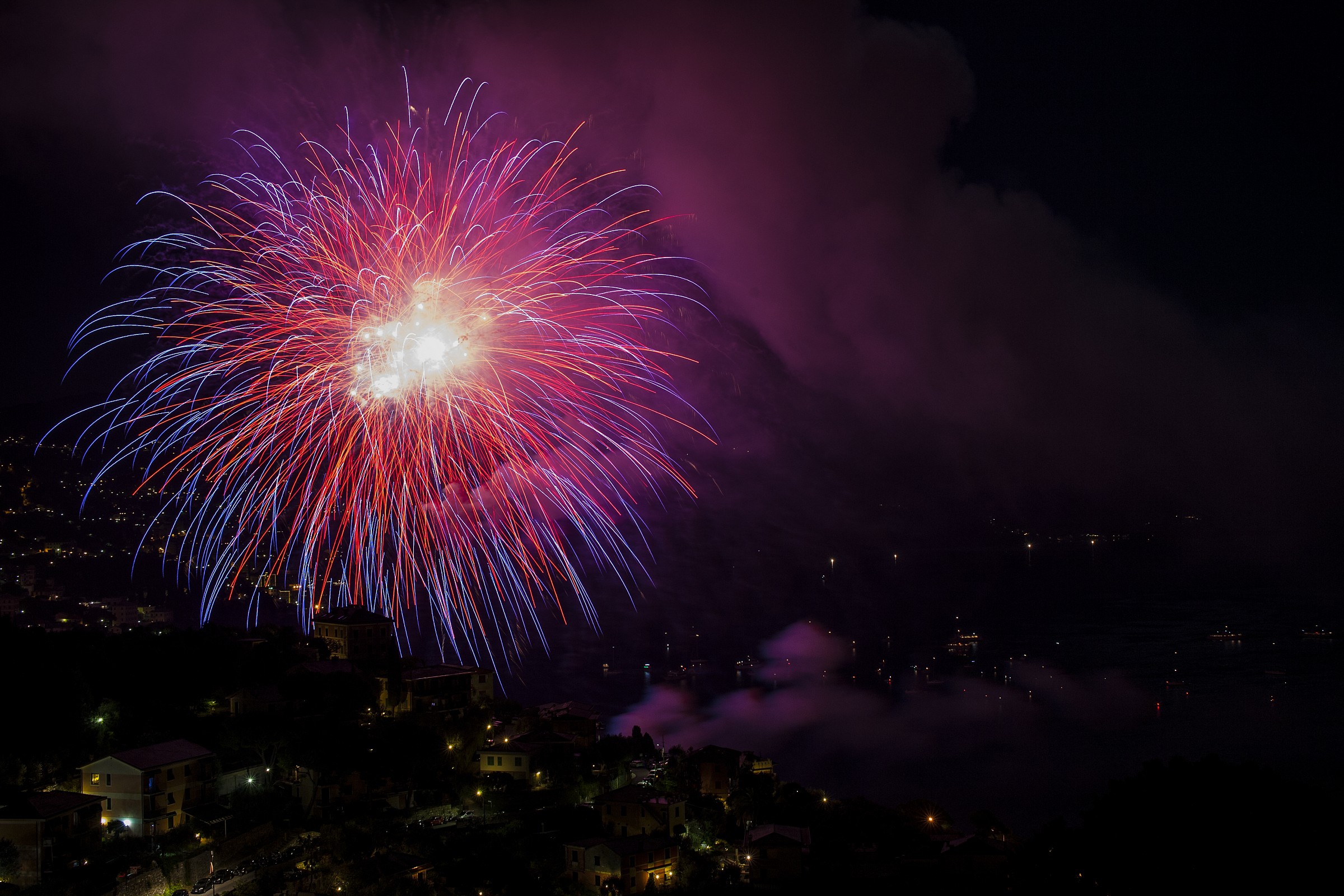 Yikes !! A jellyfish !!!