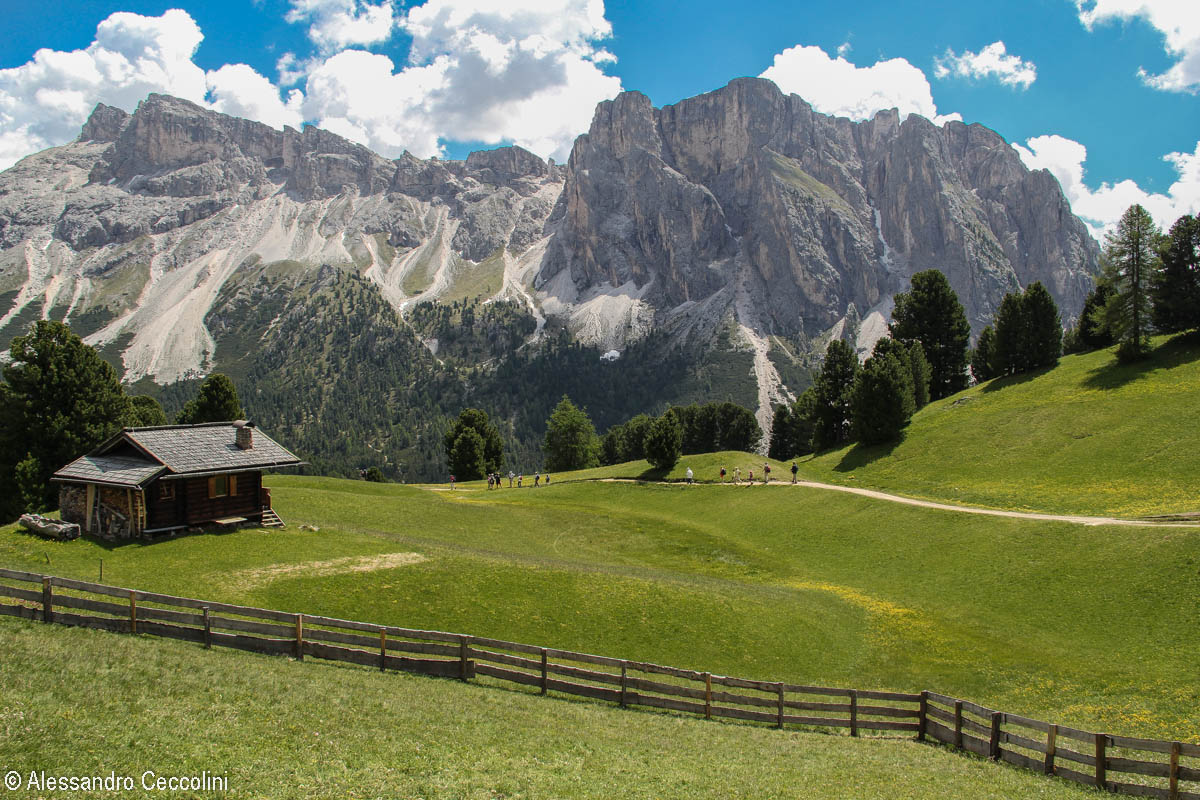 In a row on the Col Raiser