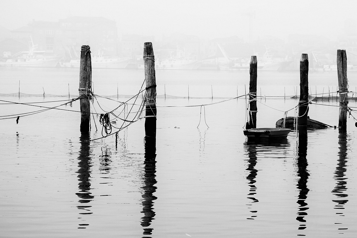 nebbia in laguna
